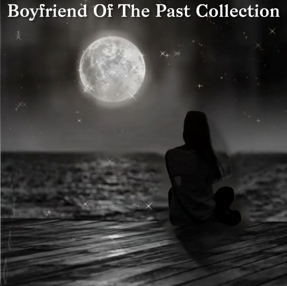 Boyfriend Of The Past Collection: 2 Pair Briefs